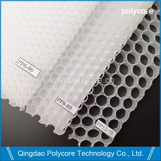 Plastic Honeycomb Core Beehive Core (PP12)