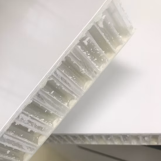 Continuous Fiber Reinforced Thermoplastic Skin Honeycomb PP Panel